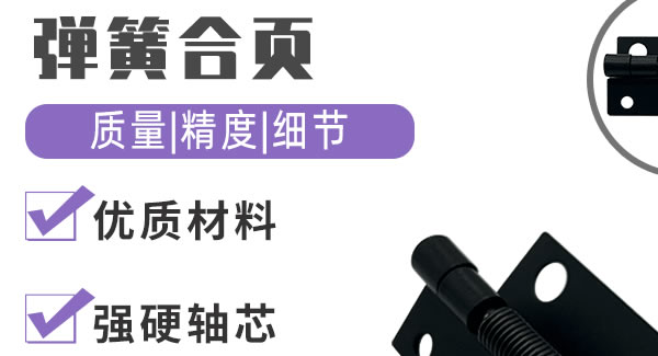 彈簧合頁，你身邊信賴的合頁|廣有五金&東莞合頁